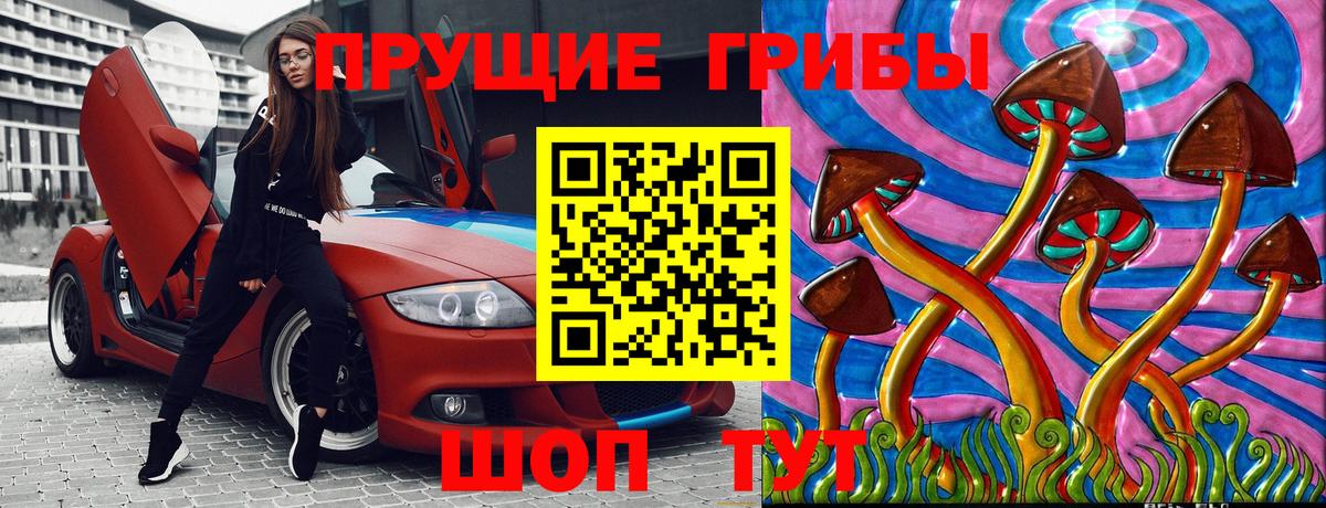 Галлюциногенные грибы Cubensis Димитровград